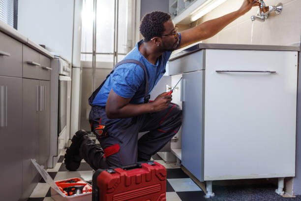 Best Residential Plumbing Services  in Mendota Heights, MN